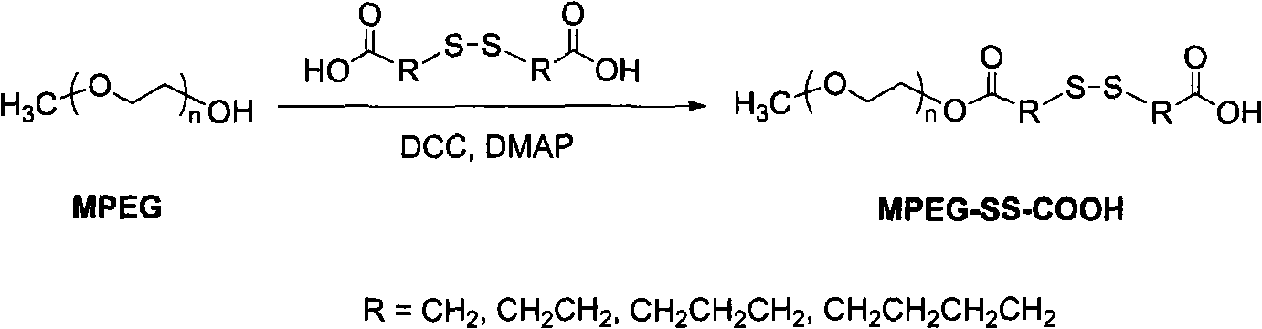 Star polymer nano-medicament carrier preparation used for intracellular medicament delivery and preparation method thereof