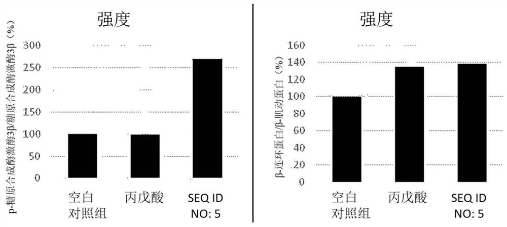 Peptide for reducing hair loss and promoting hair growth, and cosmetic composition and pharmaceutical composition comprising same