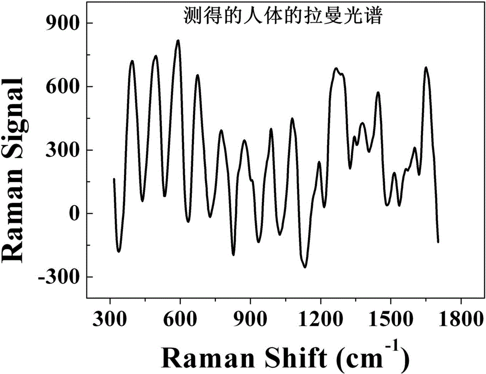 Mini-type wearable non-invasive blood glucose monitor