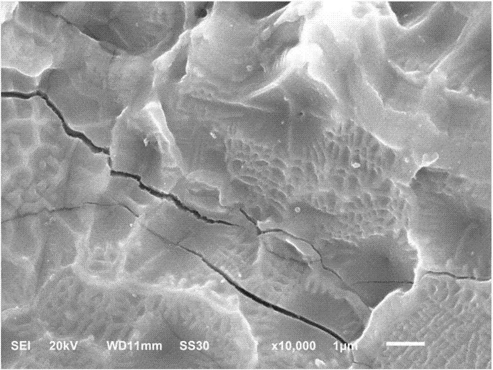 Method for preparing Ag/ZnO/HA nanocomposite coating on titanium alloy