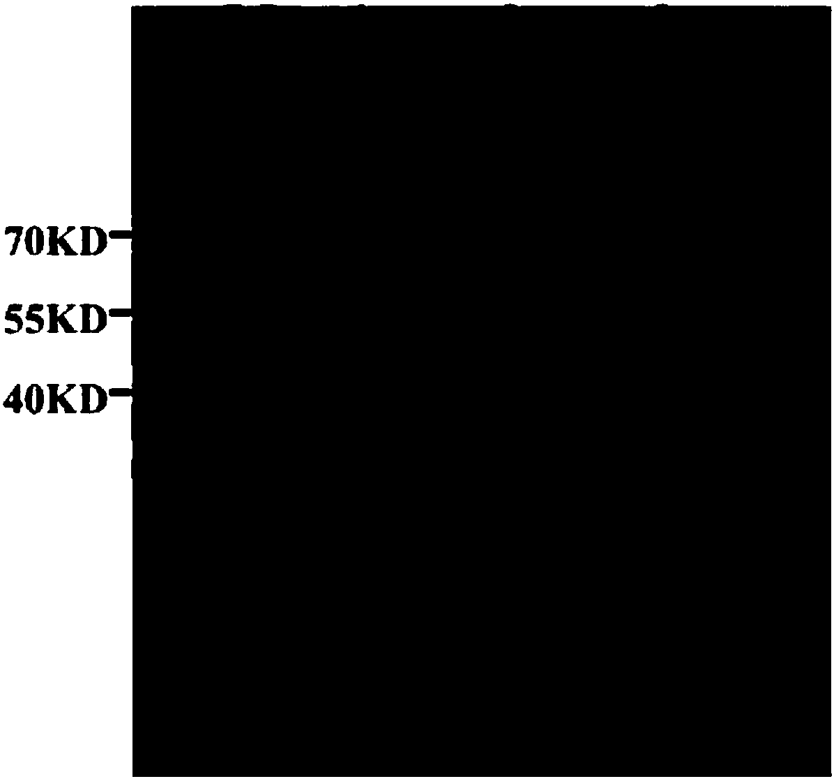 A kind of method and application of in vitro enzymatic reaction to generate 1,2,4-butanetriol