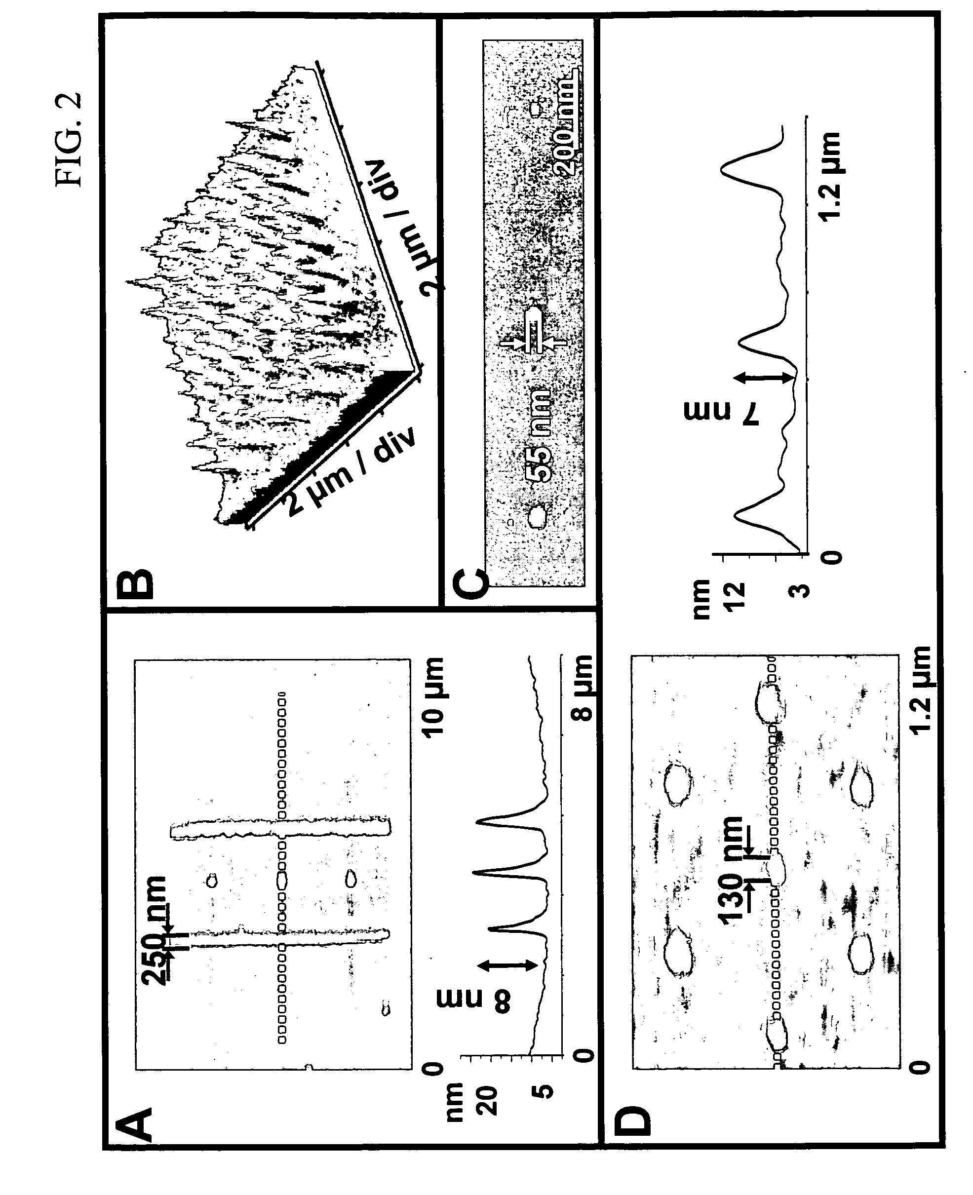 Peptide and protein arrays and direct-write lithographic printing of peptides and proteins