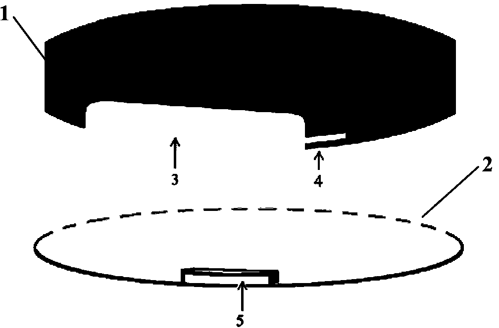 Method for collecting young red imported fire ants