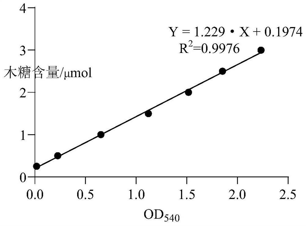 Xylanase PaXynA with low-temperature activity and coding gene and application thereof