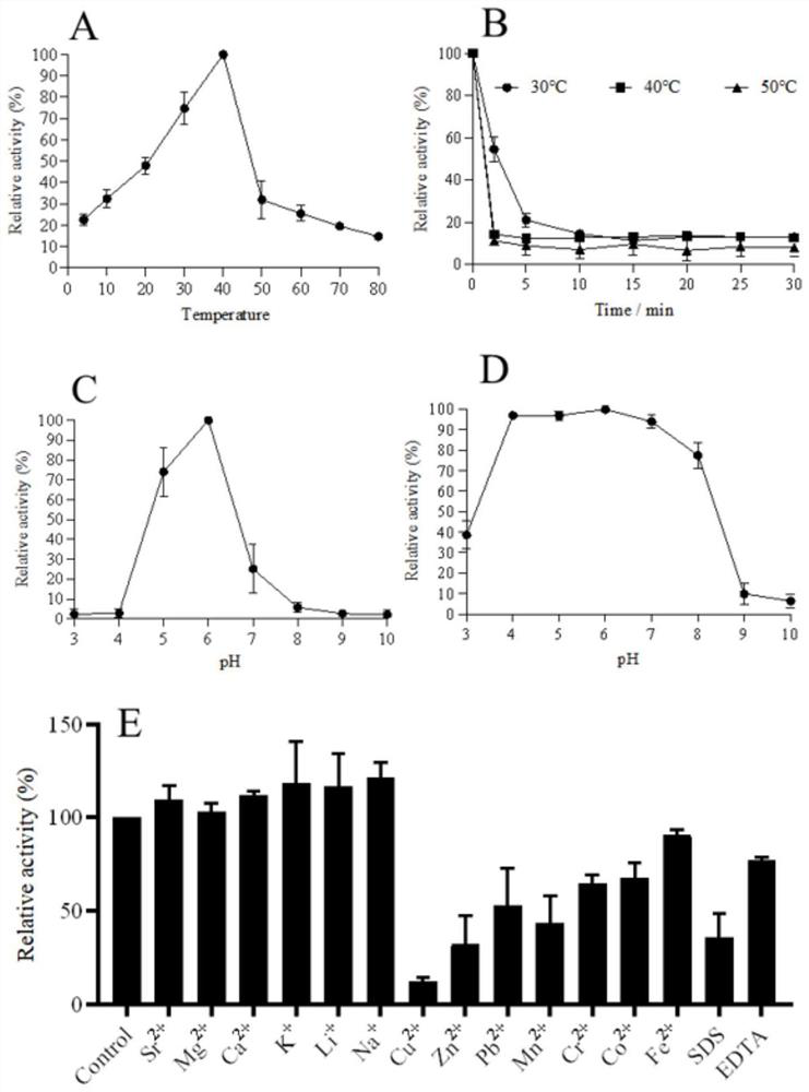 Xylanase PaXynA with low-temperature activity and coding gene and application thereof