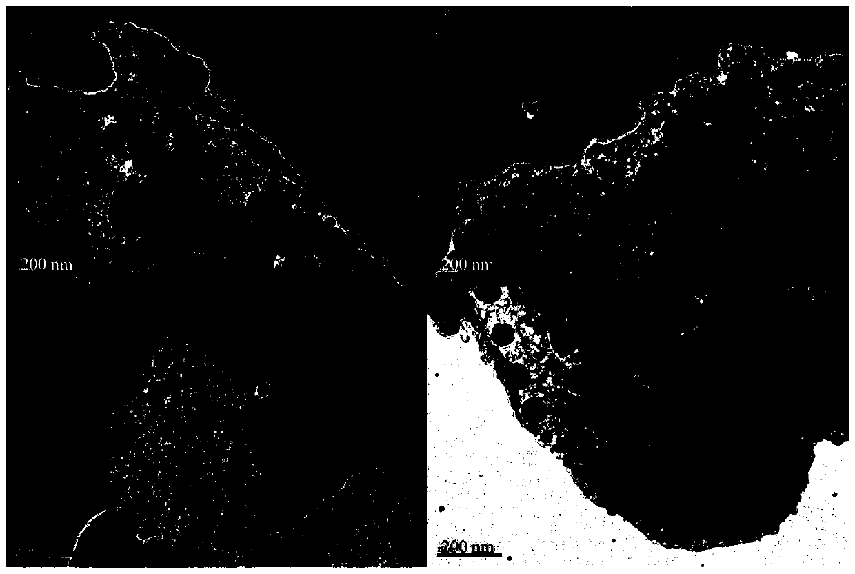 Preparation method and application of biochar-loaded nano zero-valent iron sulfide material