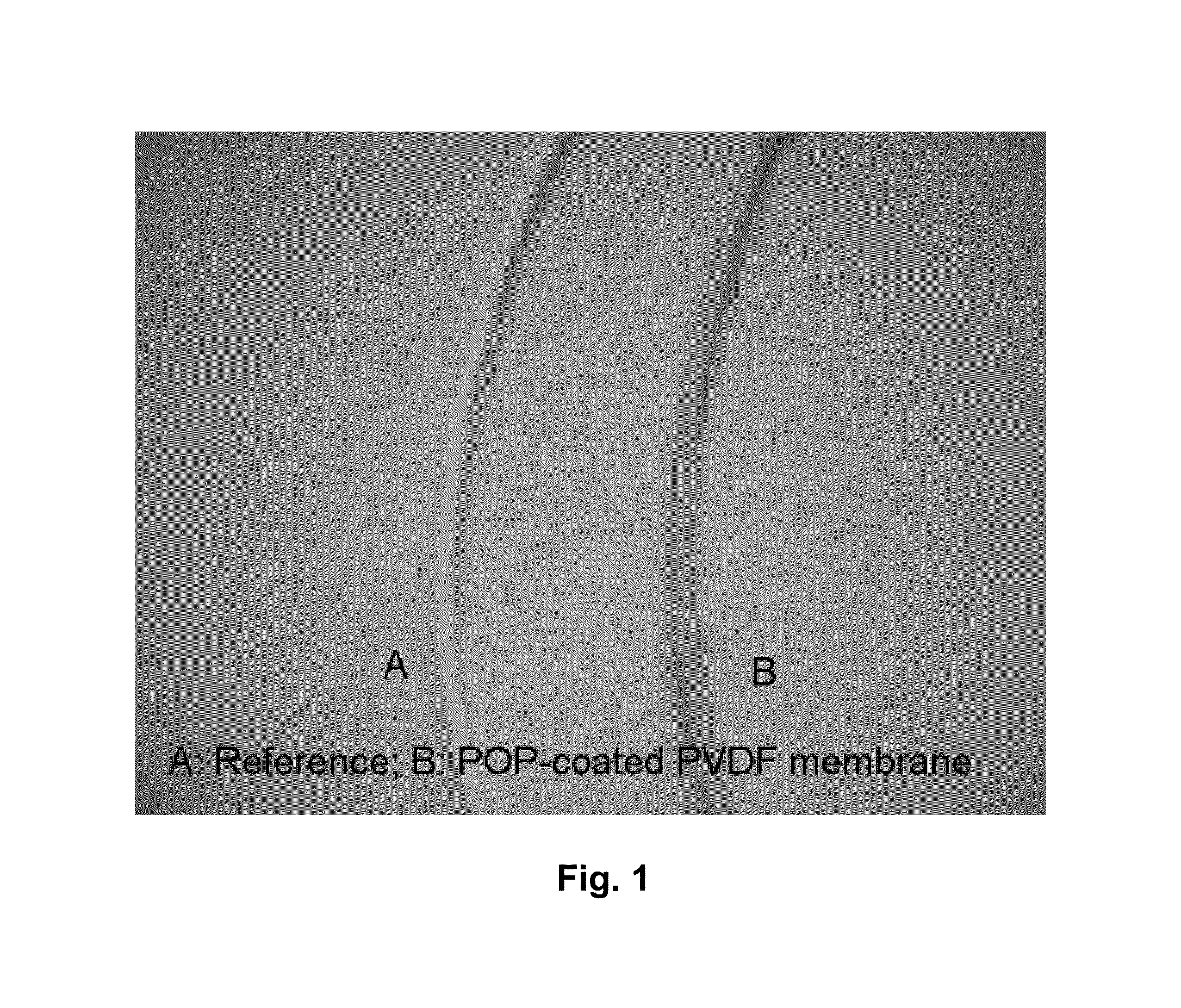 Polyphenol-type polymer coating of filtration membranes