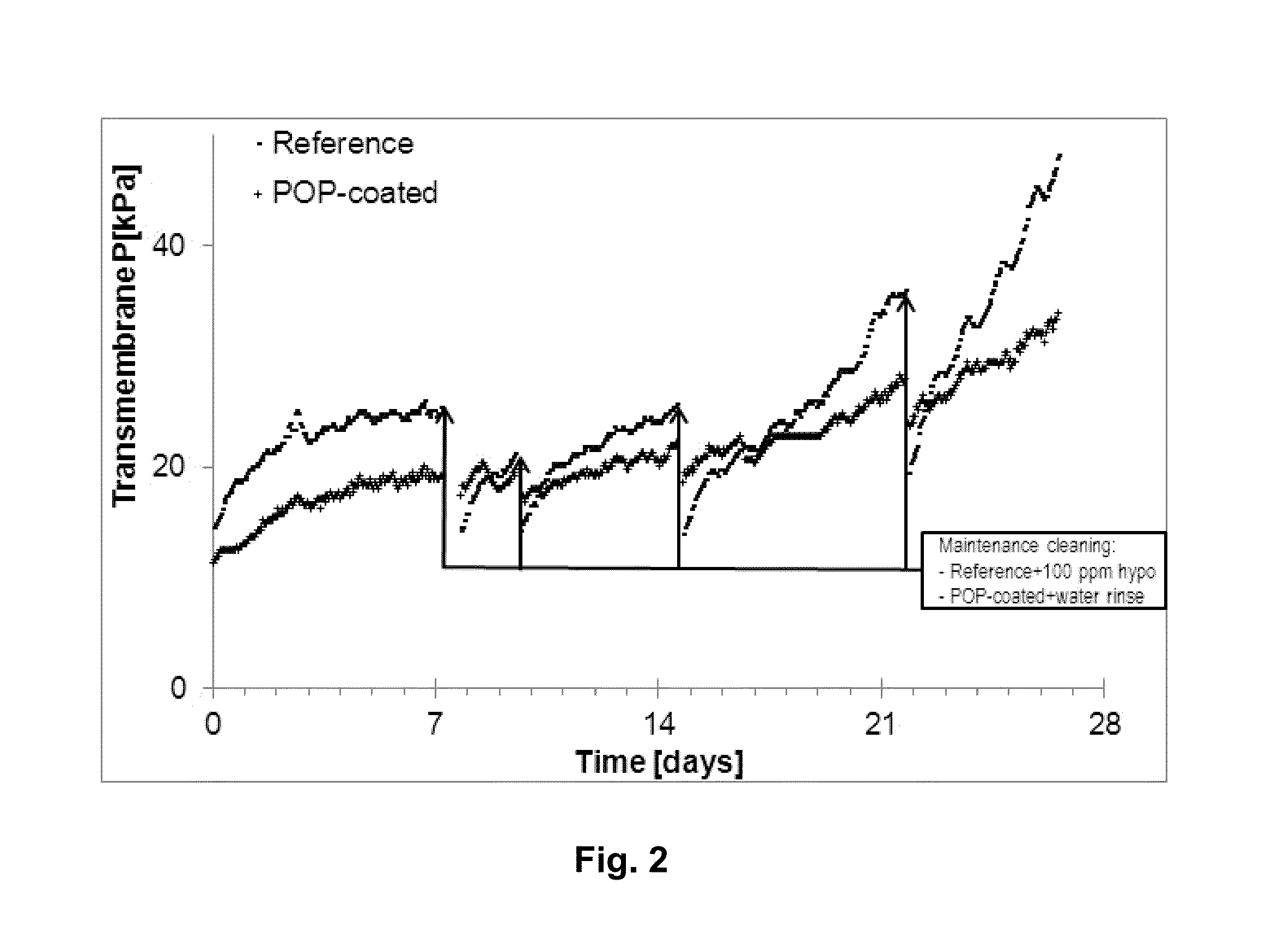 Polyphenol-type polymer coating of filtration membranes