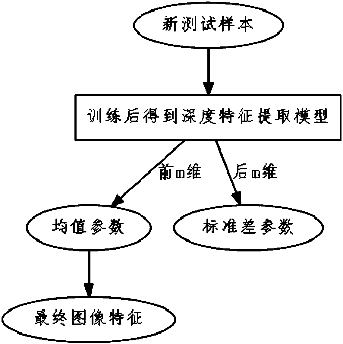 Anti-robustness image feature extraction method based on variational spherical projection