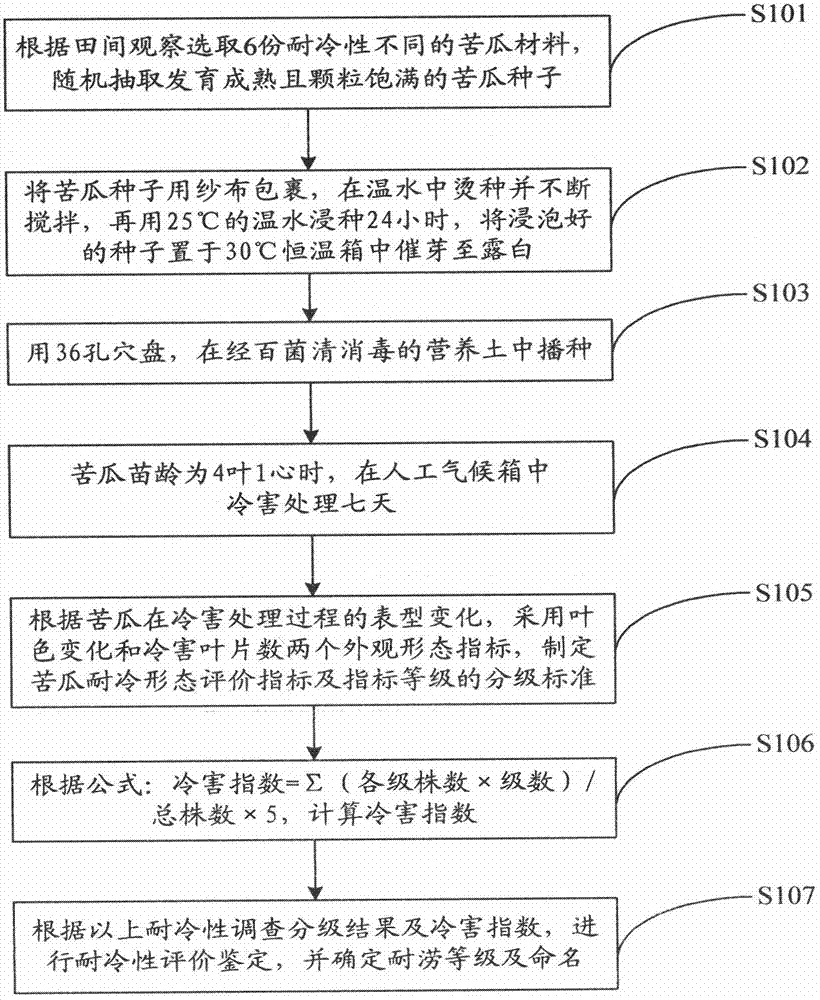 Method for identifying cold-resistant ability of balsam pears at seedling stage