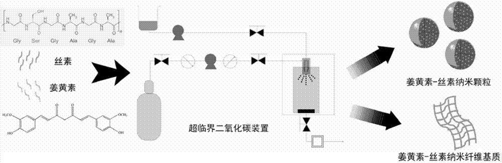 Nanometer preparation system method based on supercritical carbon dioxide technology