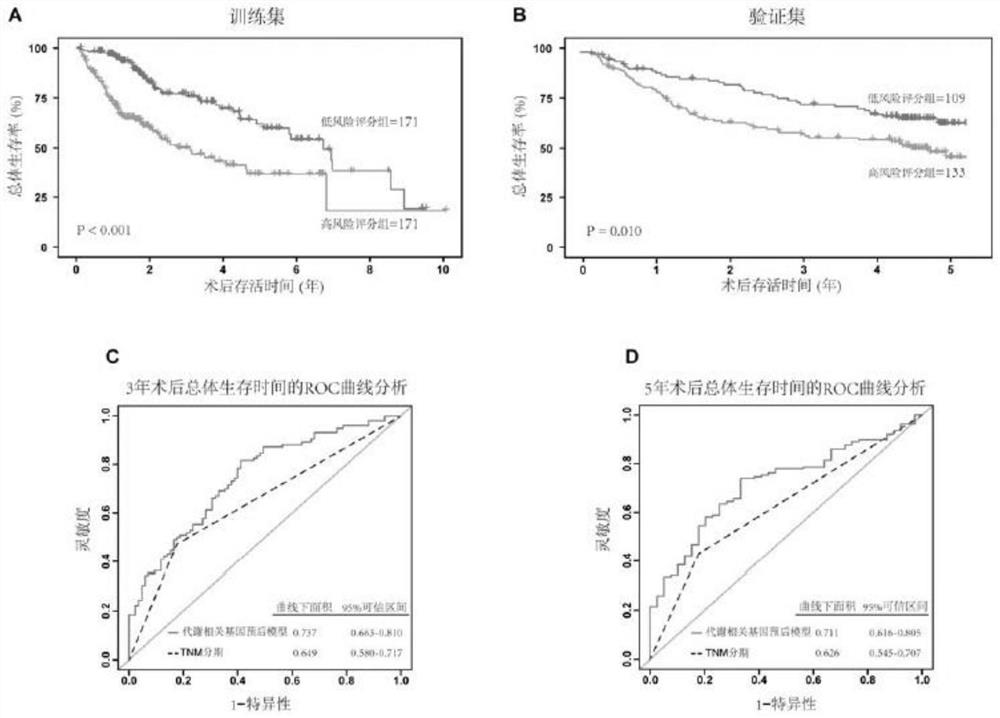 Method for establishing hepatocellular carcinoma postoperative risk assessment model