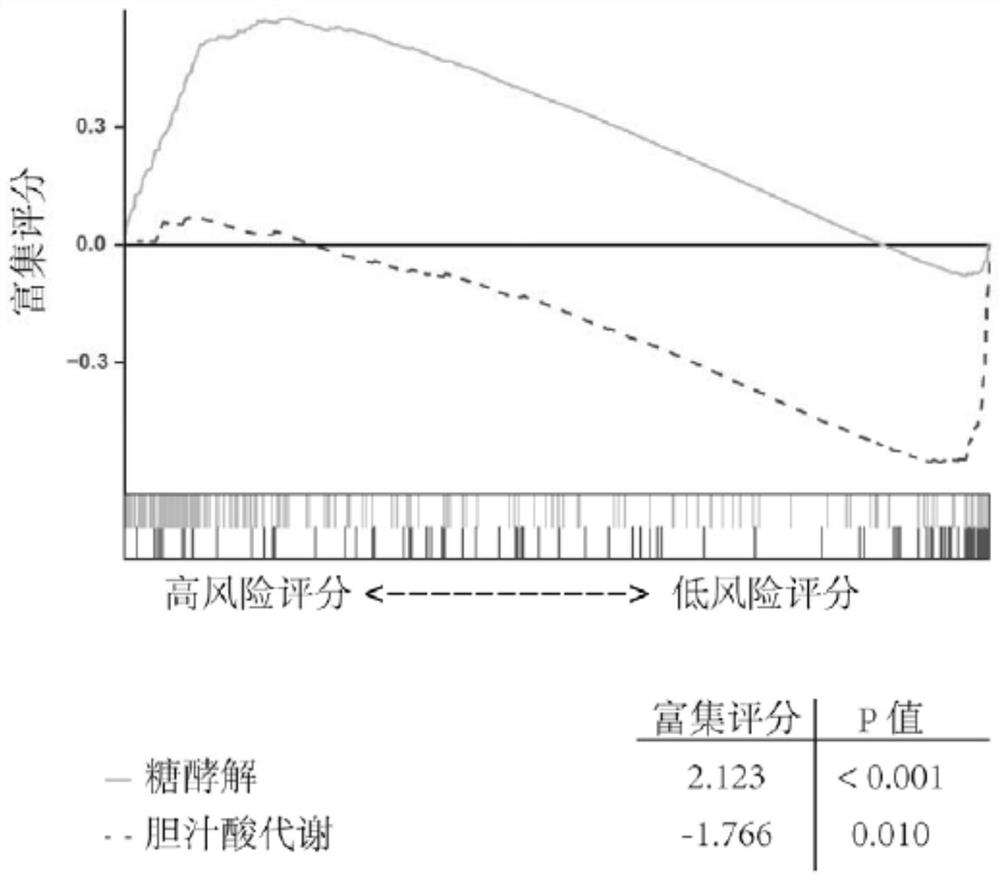 Method for establishing hepatocellular carcinoma postoperative risk assessment model