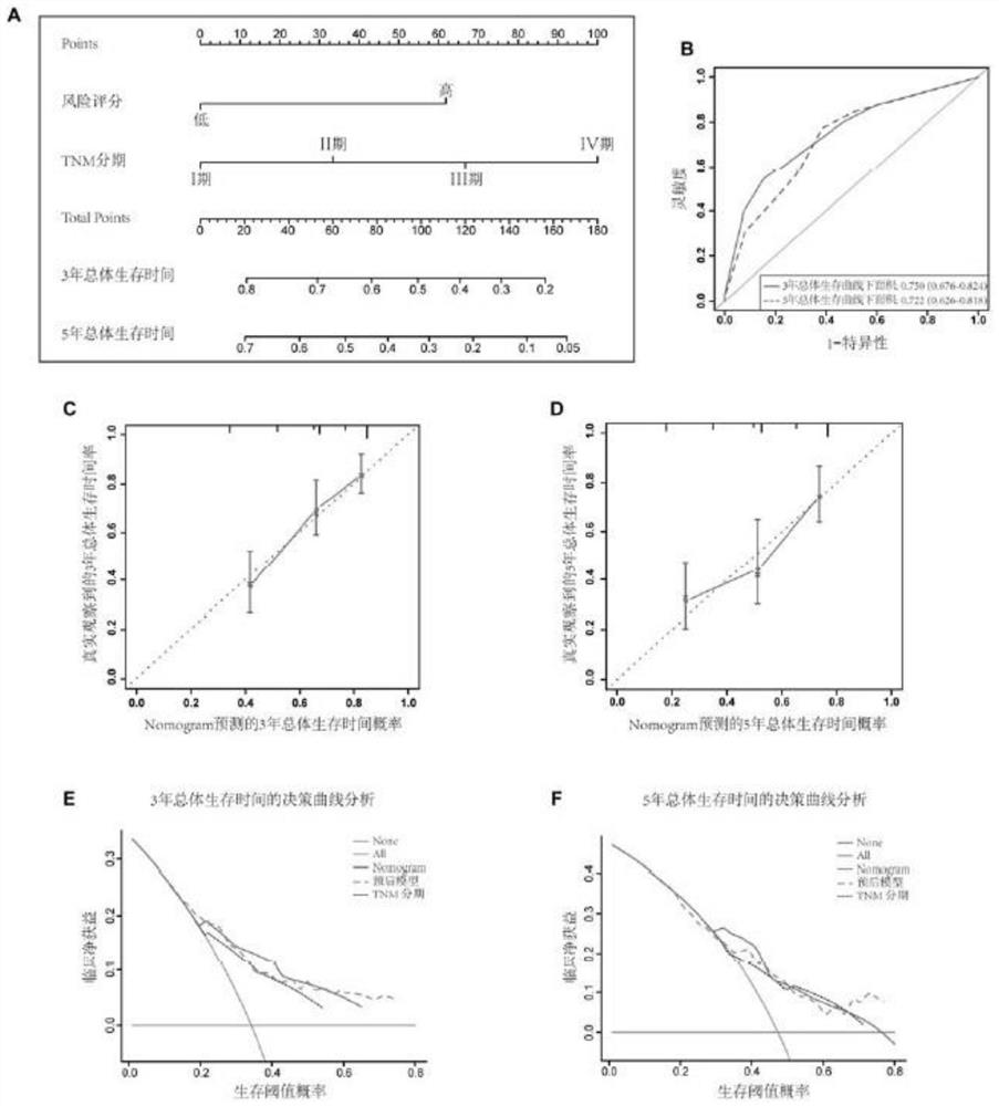 Method for establishing hepatocellular carcinoma postoperative risk assessment model