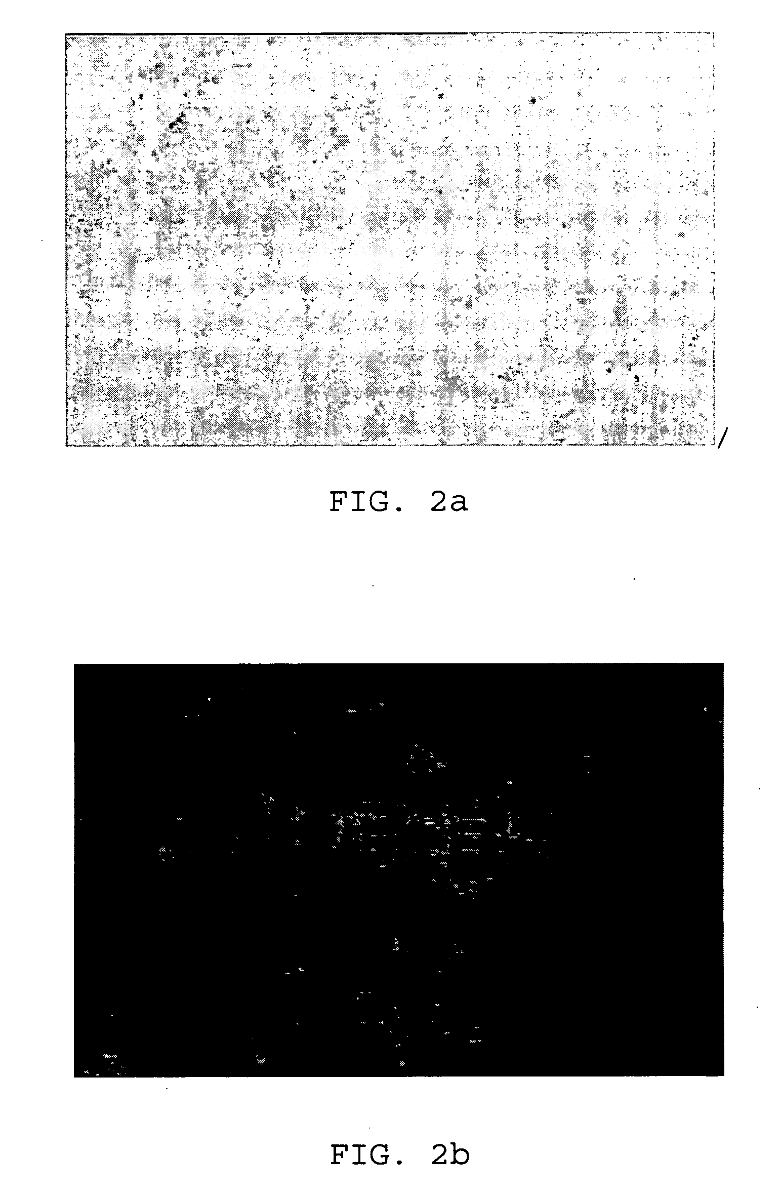 Bistable nematic liquid crystal display device