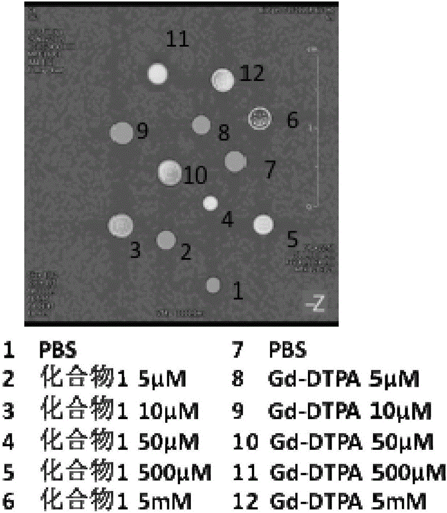 Pyrrolidine compounds, salts thereof, applications of compounds or salts thereof in nuclear magnetic probes and medicines, reagent, and medicine