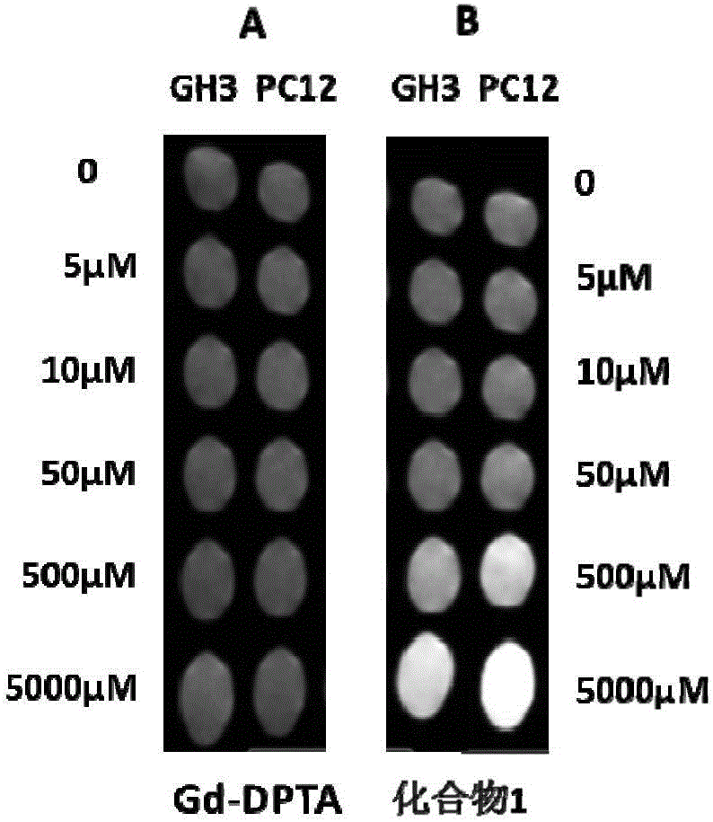 Pyrrolidine compounds, salts thereof, applications of compounds or salts thereof in nuclear magnetic probes and medicines, reagent, and medicine