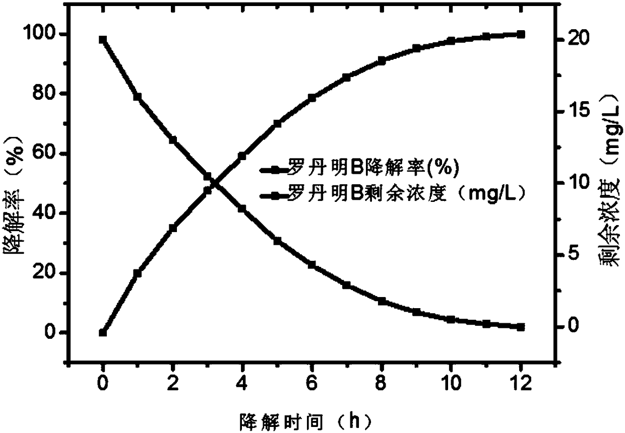 Method for preparing stainless steel wire loaded with bismuth oxide nanosheet photocatalyst through solvothermal method