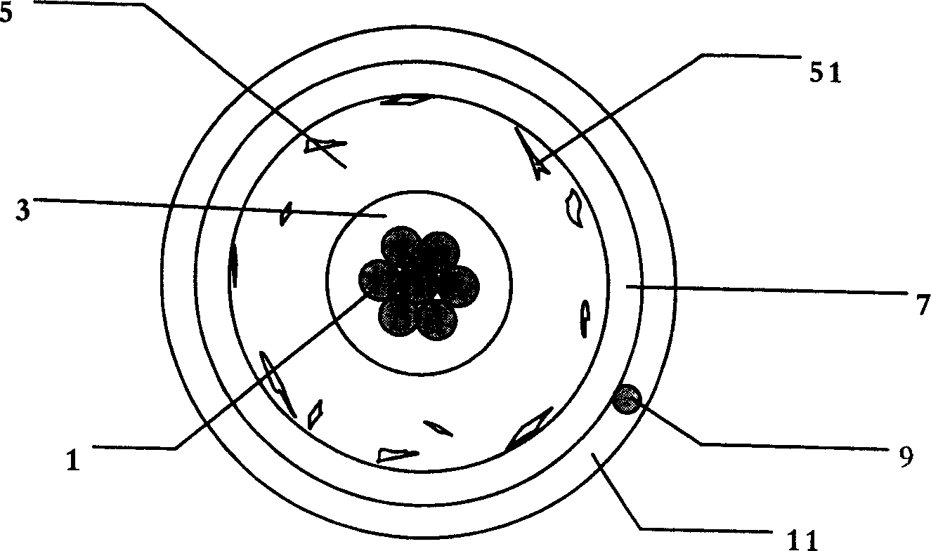 Electro luminescence line and preparation method thereof