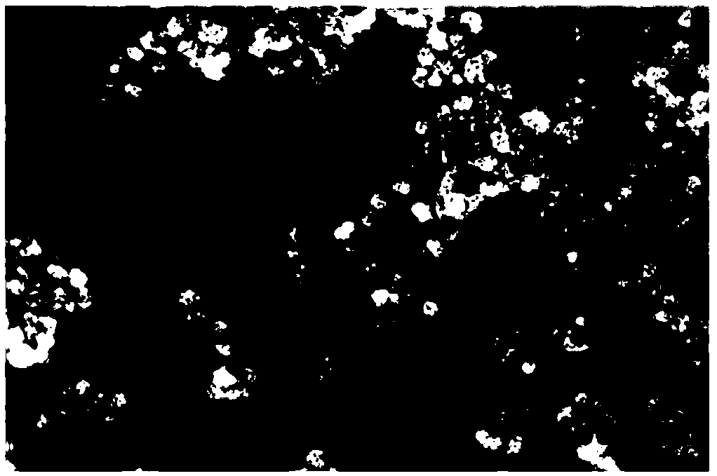 Plant polyphenol based preparation method of core-shell structural nano-silver antibacterial material