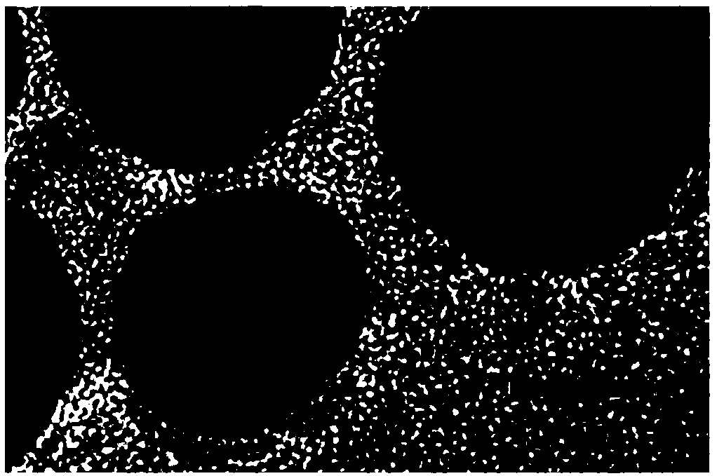 Plant polyphenol based preparation method of core-shell structural nano-silver antibacterial material