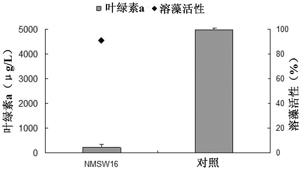 A kind of bacillus cereus and application thereof