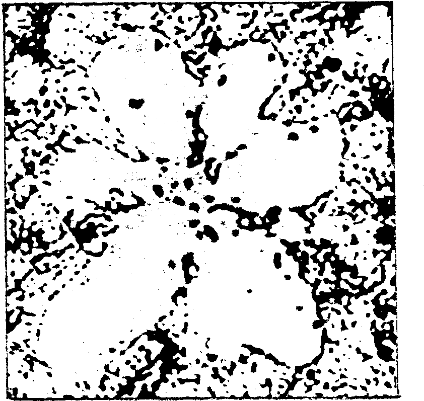 Zinc-alluminium-based wear-resistant alloy and production thereof