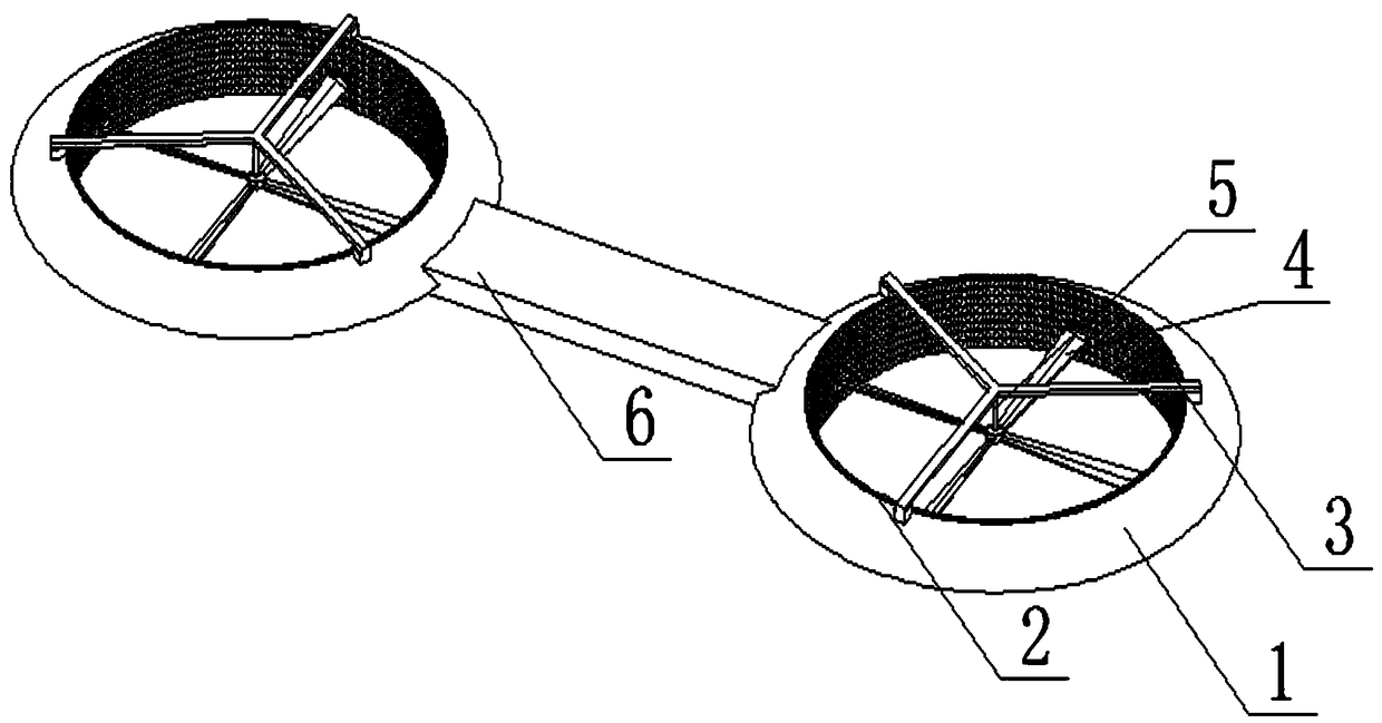 Annular honeycomb excitation vector-propelled double-rotor aircraft