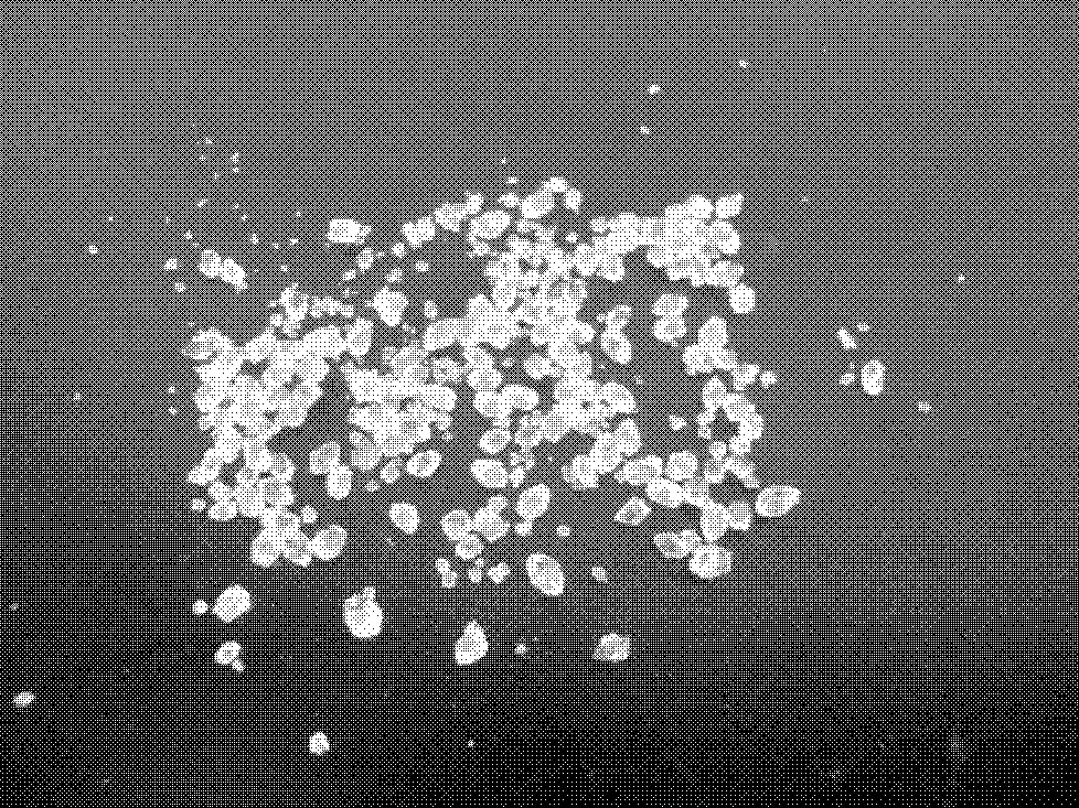 Method for drying citrate monohydrate crystals