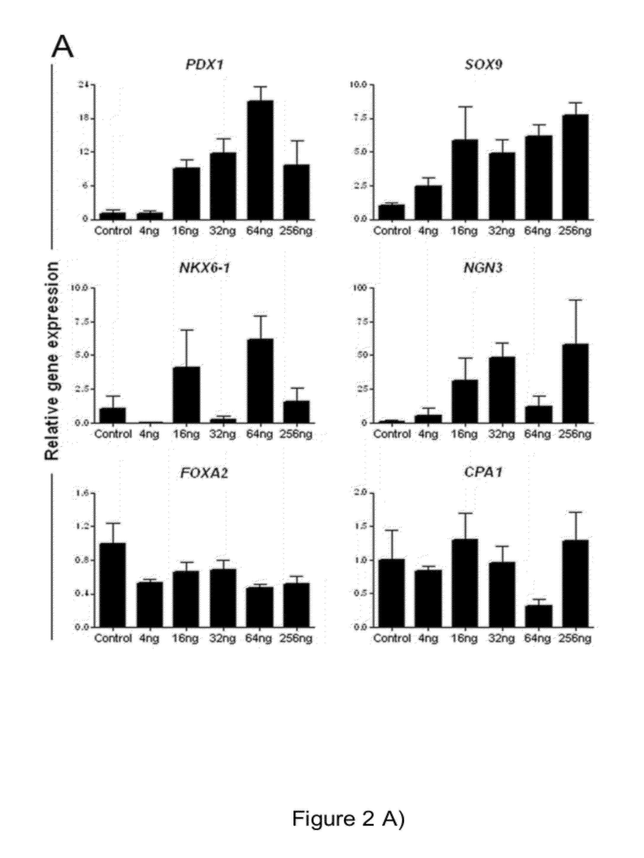 INDUCED DERIVATION OF SPECIFIC ENDODERM FROM hPS CELL-DERIVED DEFINITIVE ENDODERM