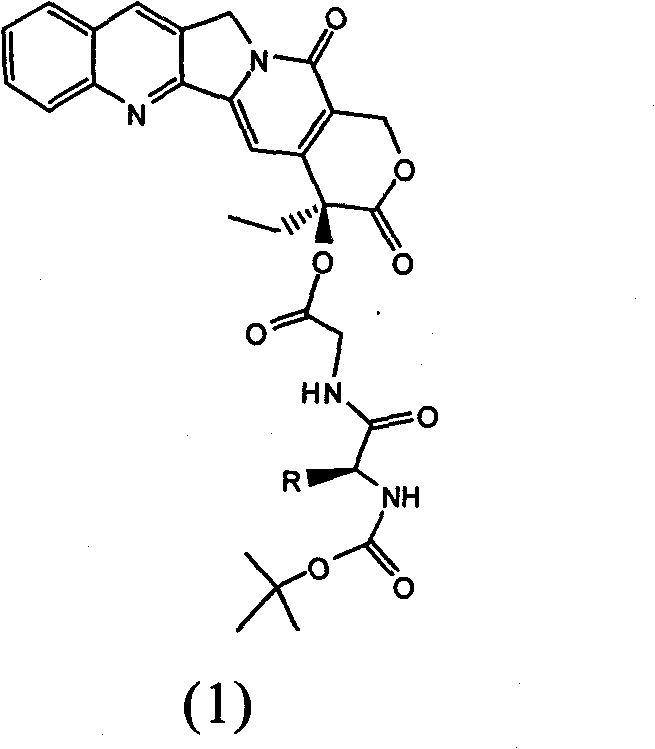 Camptothecin derivative and preparation method and application thereof