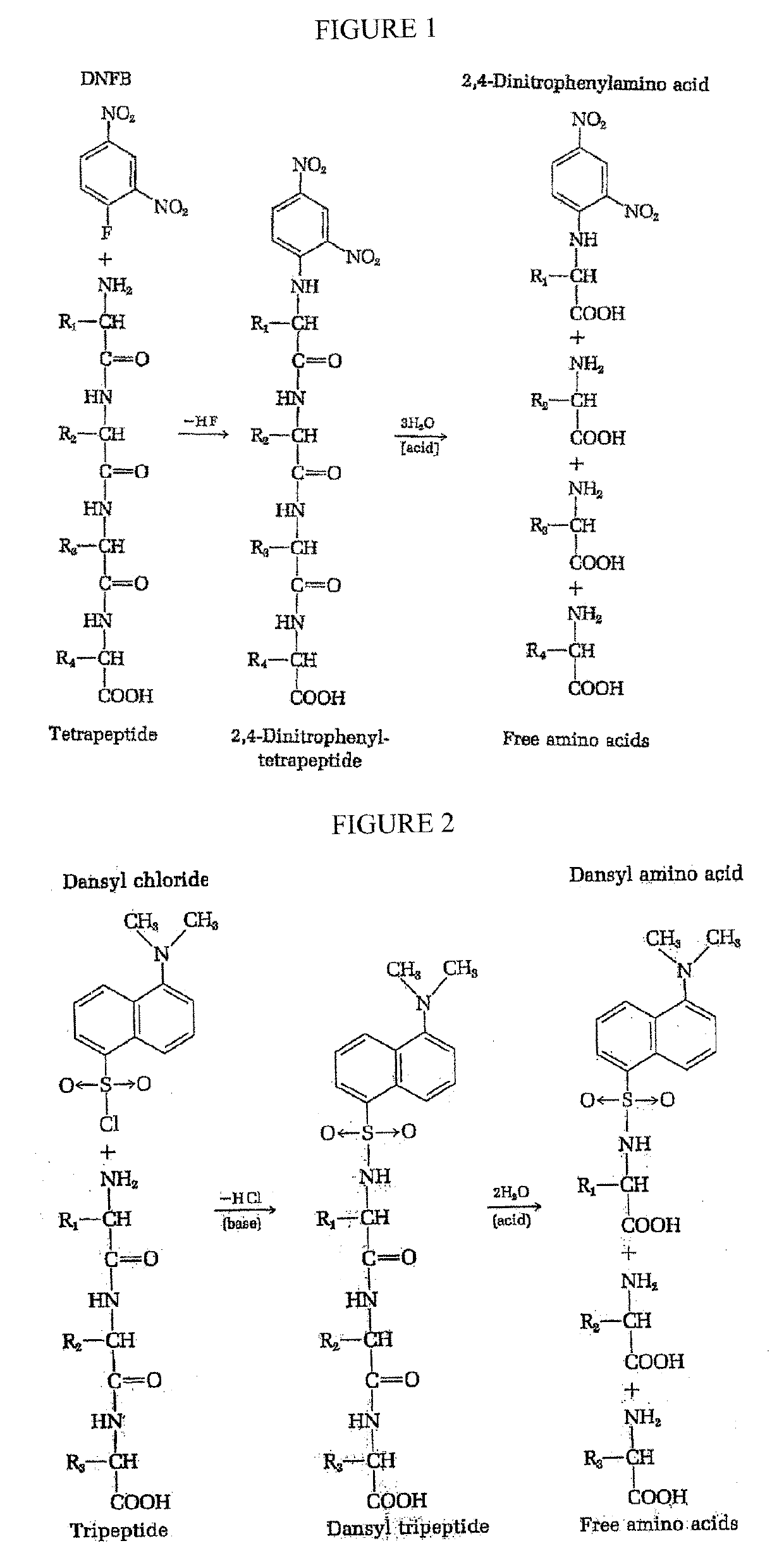 Single molecule peptide sequencing