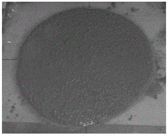 A high damping self-compacting concrete