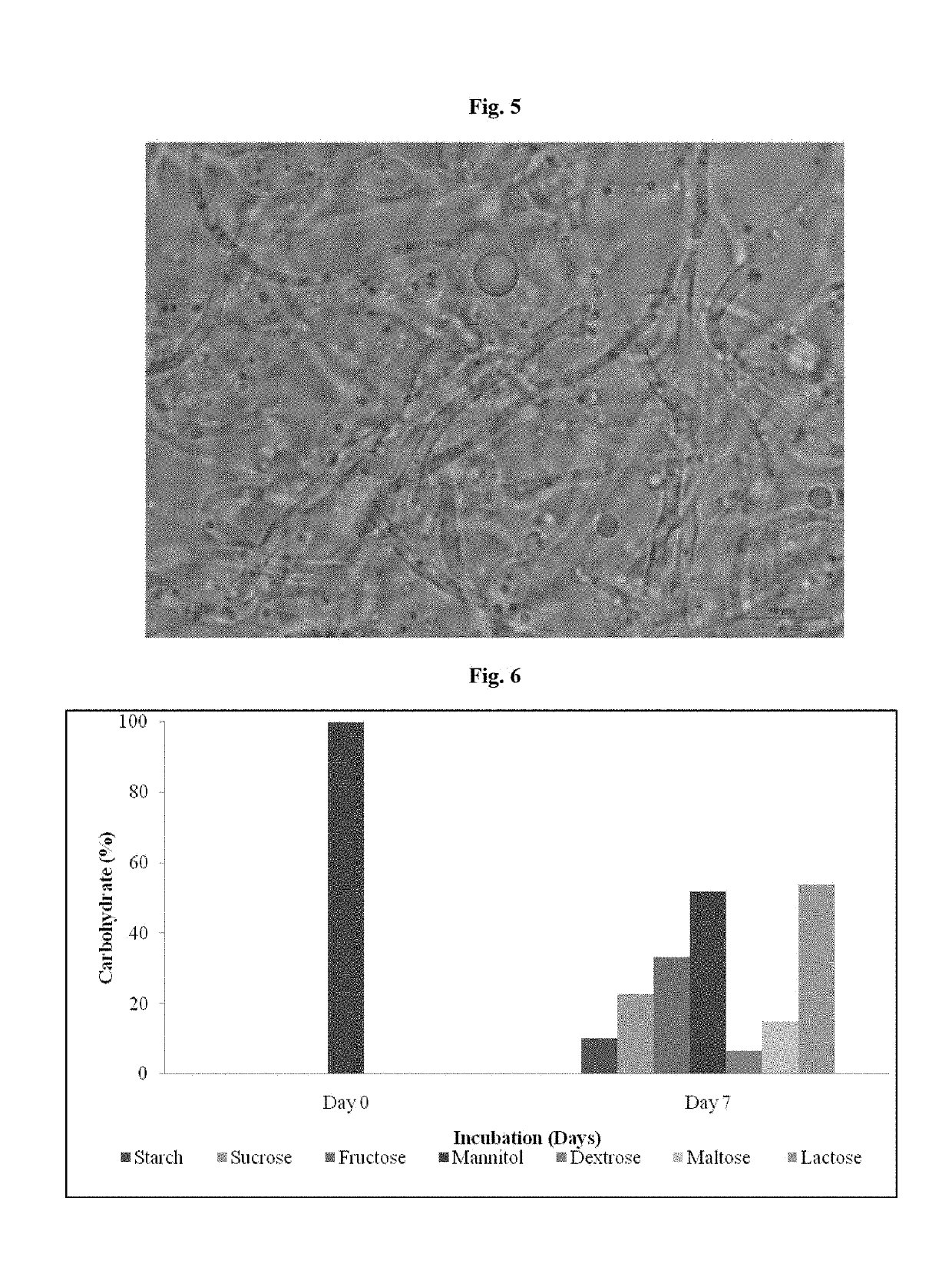 Microbial bioconversion of curcuminoids to calebin-a