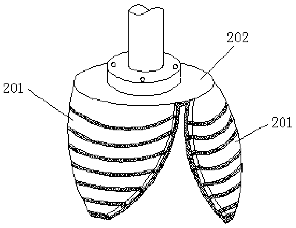 Automatic mushroom picking system and method based on machine vision