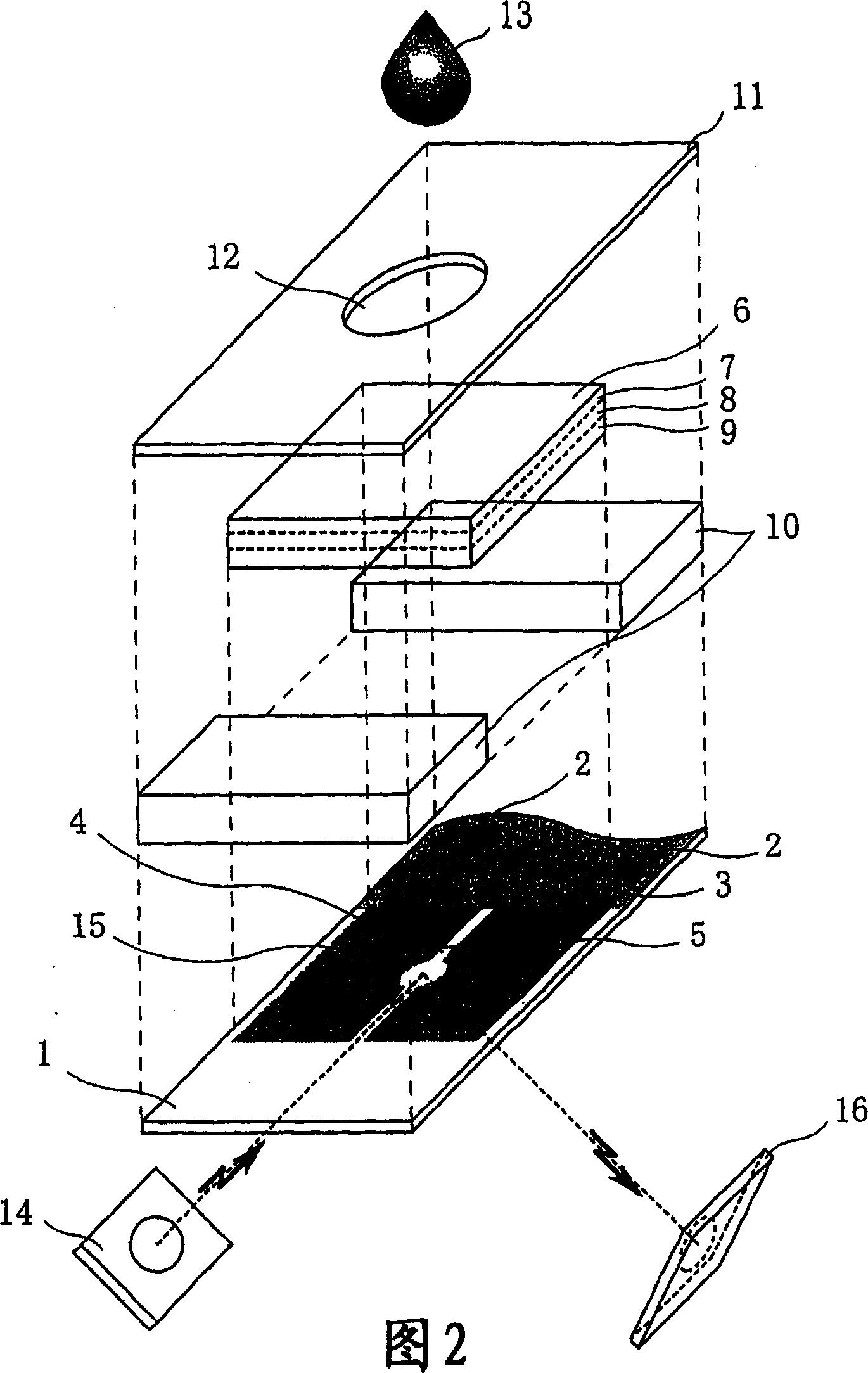 Method and apparatus for examining diseases with inborn errors of metabolism