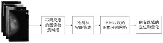 Lesion area quantification method based on mammary gland molybdenum target image