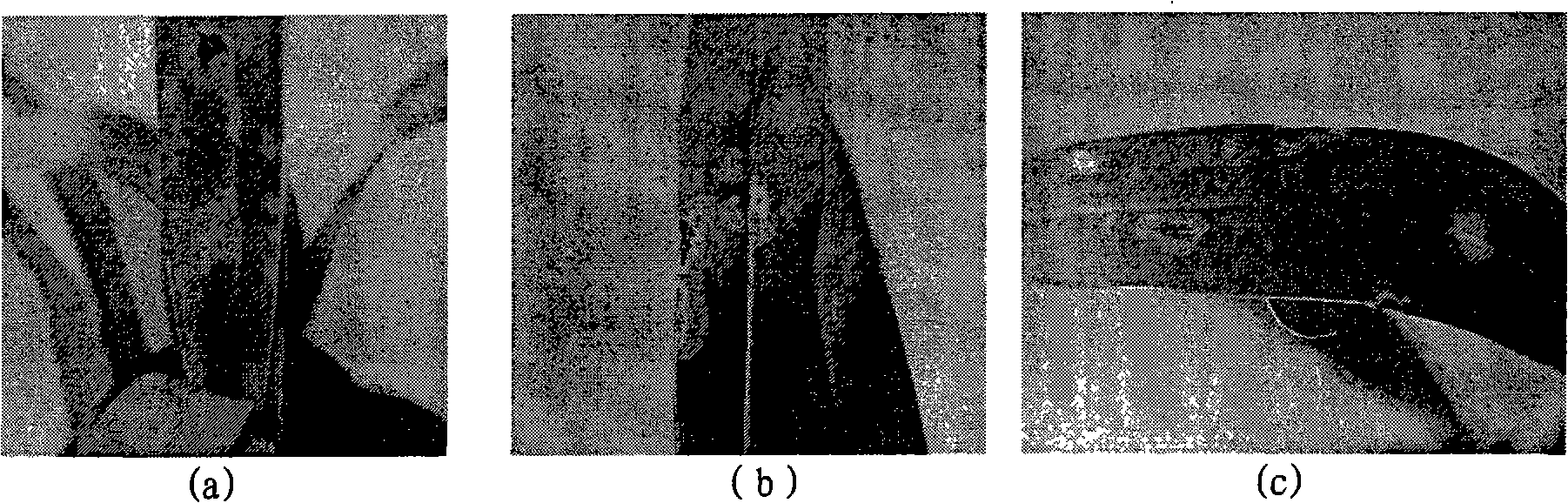 Method for rapidly detecting impatiens necrotic spot virus from oncidium