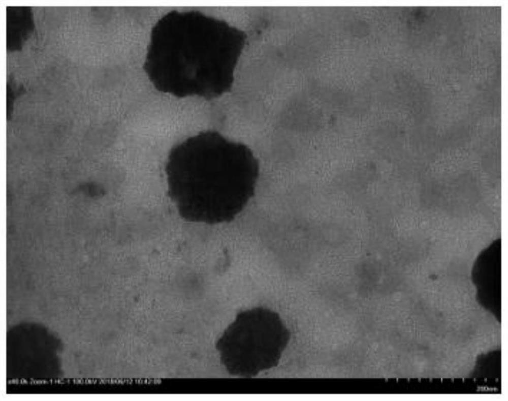 Paclitaxel oral polymer micelle and its preparation method and application