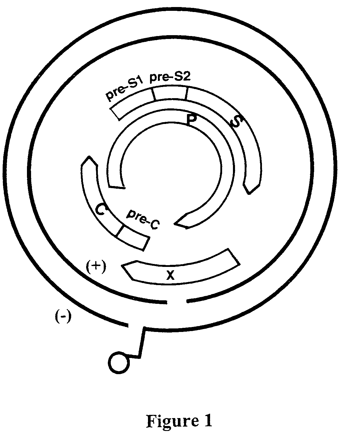 Viral variants