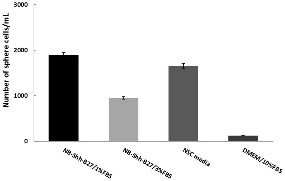 A kind of culture medium and culture method for culturing brain tumor cells in vitro