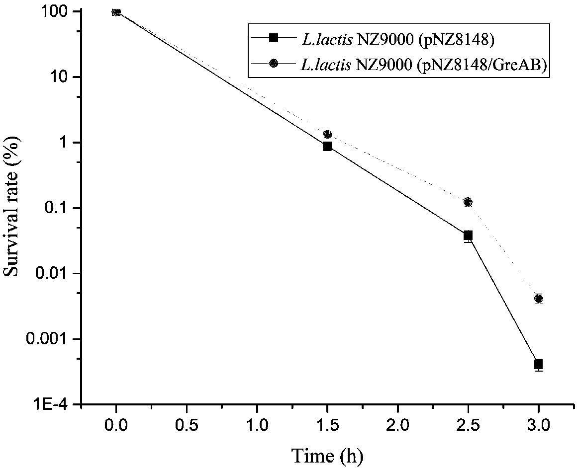 Acid-stress-resisting recombinant lactobacillus