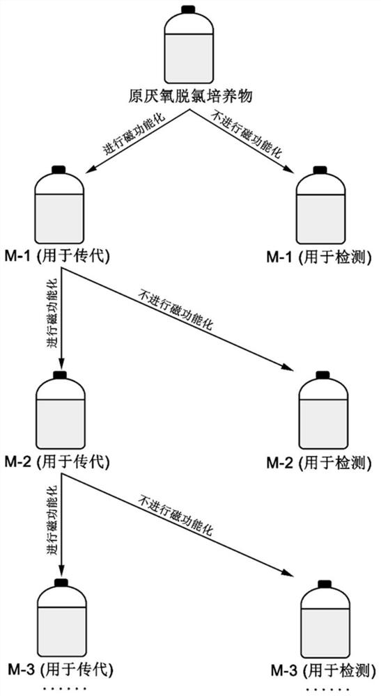 Dechlorination enhancing method based on magnetic nanoparticles