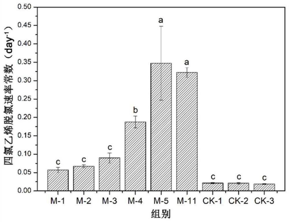 Dechlorination enhancing method based on magnetic nanoparticles