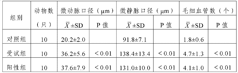 Traditional Chinese medicine composition and medical pad for treating prostatic disease, and preparation method of medical pad