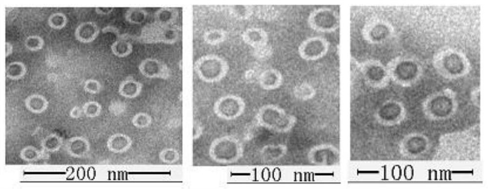 A kind of sea cucumber saponin nano-liposome for injection administration and preparation method thereof