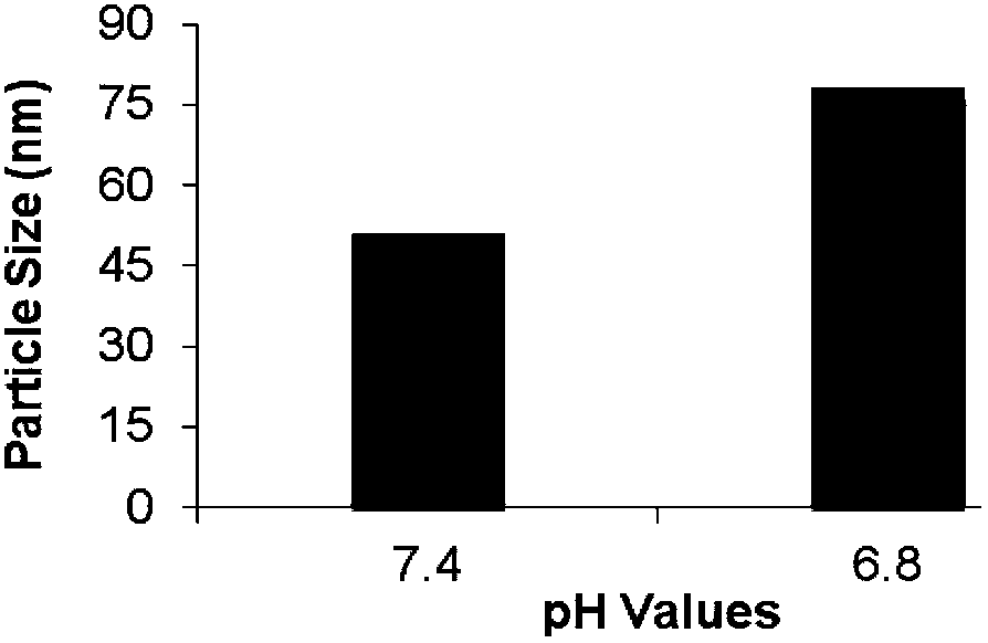 Ph-sensitive brain tumor two-stage targeting NANO drug delivery system, and preparation method and application thereof