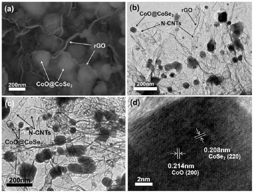 Oxygen evolution/hydrogen evolution two-dimensional cobalt monoxide-coated cobalt diselenide-coated nitrogen-doped carbon nanotube/graphene bifunctional composite catalyst