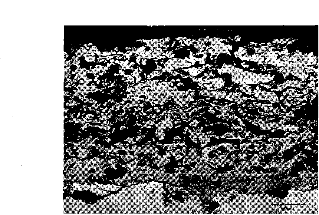 Method for preparing metallic matrix composite coating reinforced by alumina ceramics particles