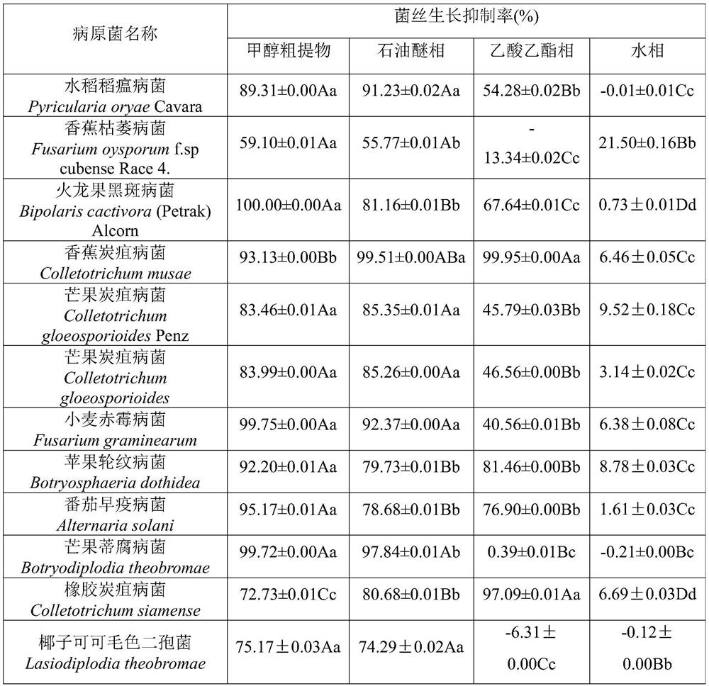 Application of asarum caulescens and extract thereof in preventing and treating plant pathogenic fungi